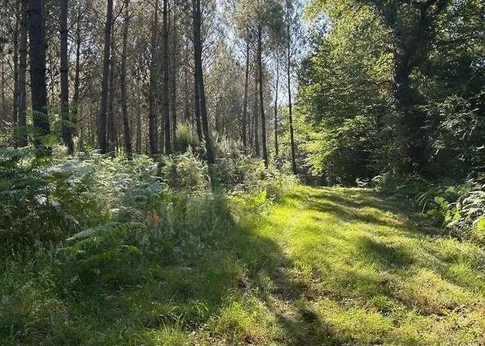 L'etable Des Amis Bed & Breakfast